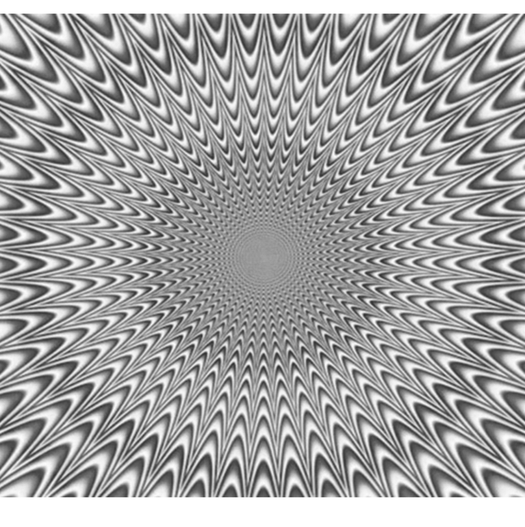 What is LD & ADD? - Optical Illusion CC BY (Gray Scale)