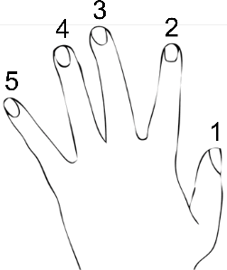 color coding fingers for music - LH piano hand icon with finger numbers