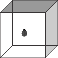 LD - Bug on Cube