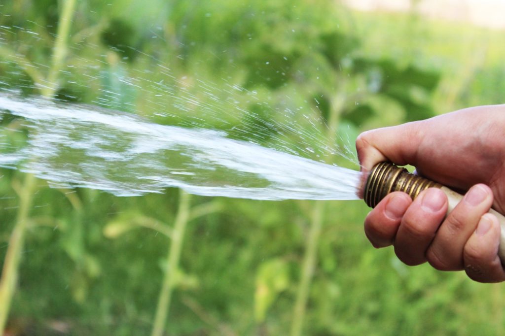 ear training exercises for harmonizing - garden hose