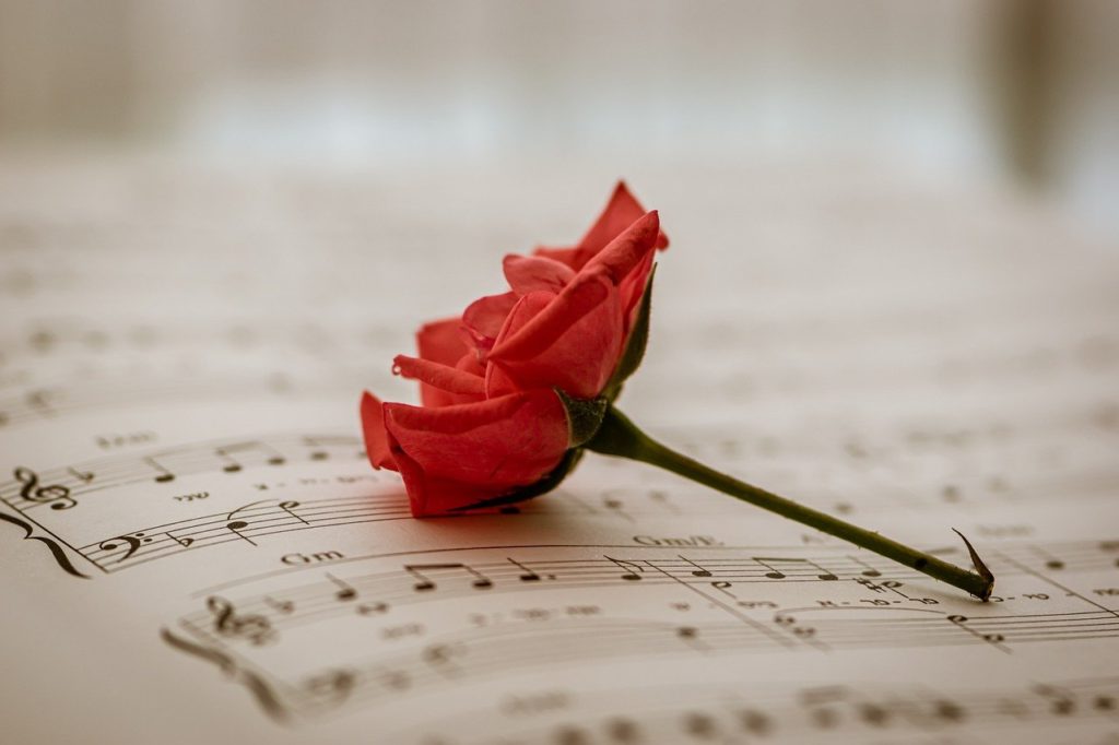 singing chromatic solfege using shape notes - sheet music and red rose - Where Do I Start if I Want to Be Able to Sing A Cappella