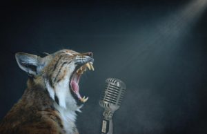 Singing Schwa Vowels - Cool Lynx Singing