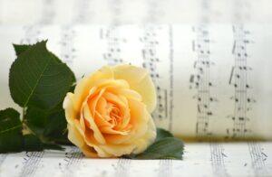 I’m Confused About What Precisely D.S. al Coda Means - Rose and Sheet Music