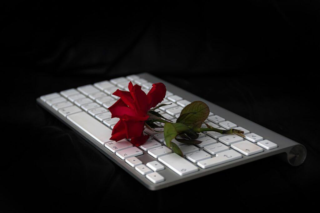 What Is Satire and How to Write It – A Rose on a Computer Keyboard