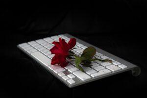 What Is Satire and How to Write It – A Rose on a Computer Keyboard