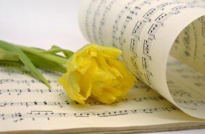 What’s Autism Spectrum Disorder and Its Impact on Music - Sheet Music and Yellow Flower
