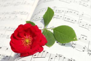 The Top 5 Best Katseye Sheet Music Gift Ideas - Sheet Music and Rose