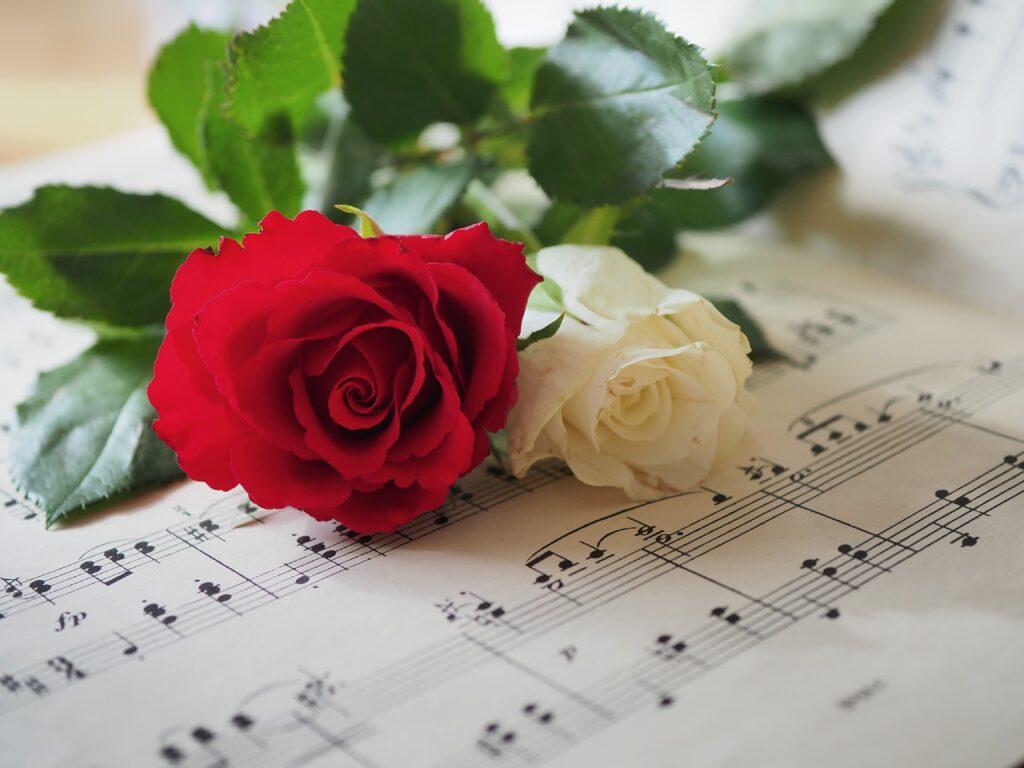 12 Best Taylor Swift Sheet Music Gift Ideas - Roses on Sheet Music