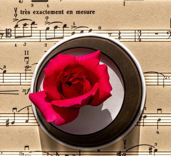 50 Essential Music Symbols Explained in Less Than 5 Minutes - Sheet Music and Rose