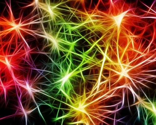 Special Needs Music Success - Neurons - Learning Differences and Spatial Ability