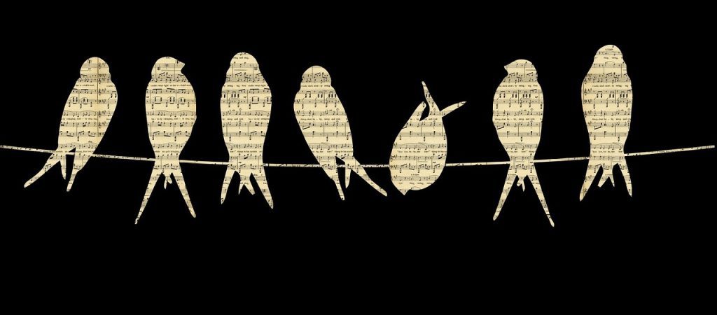 Shape Note Singing Lesson - Sheet Music Birds